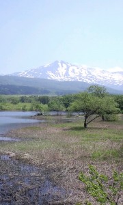 CA3G0198.jpg