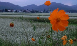 CA3G10450001.jpg