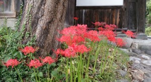 IMG_20130925_174738