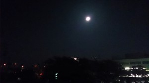 1410199104314